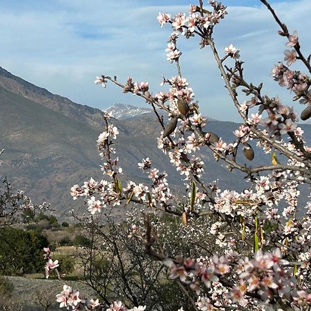 Cortijo Vacas Gordas B&B Castell de Ferro Exteriör bild