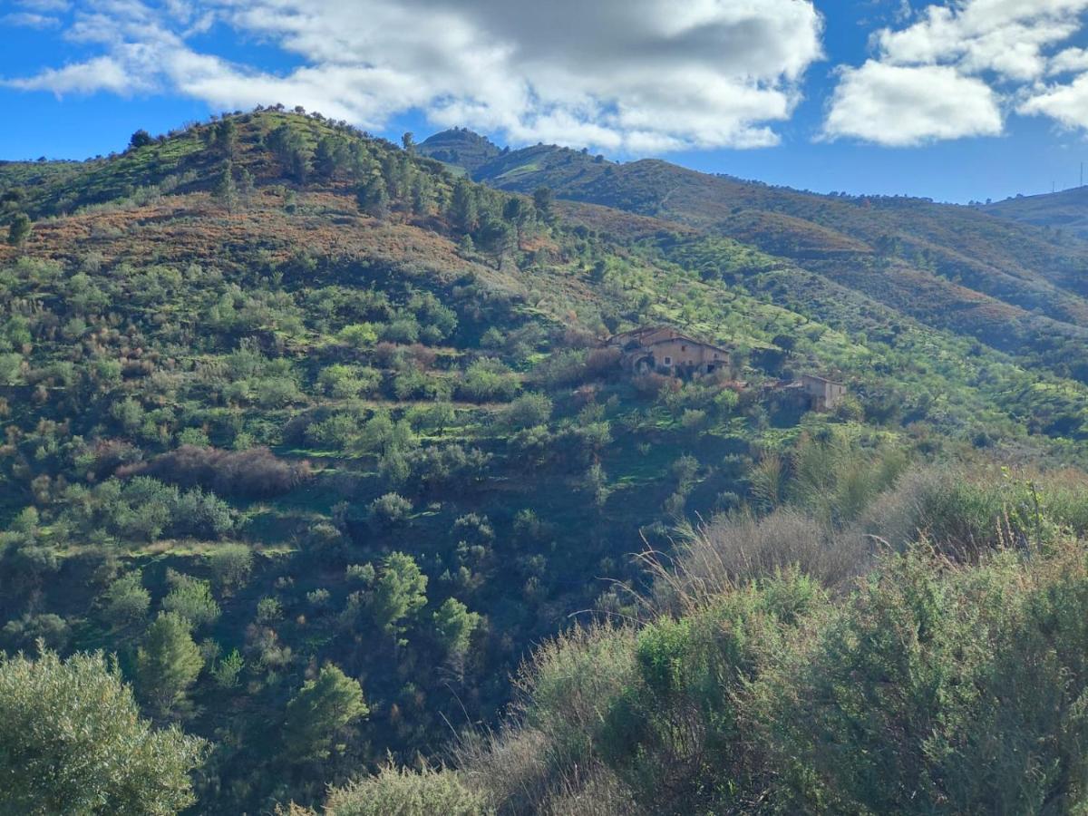 Cortijo Vacas Gordas B&B Castell de Ferro Exteriör bild