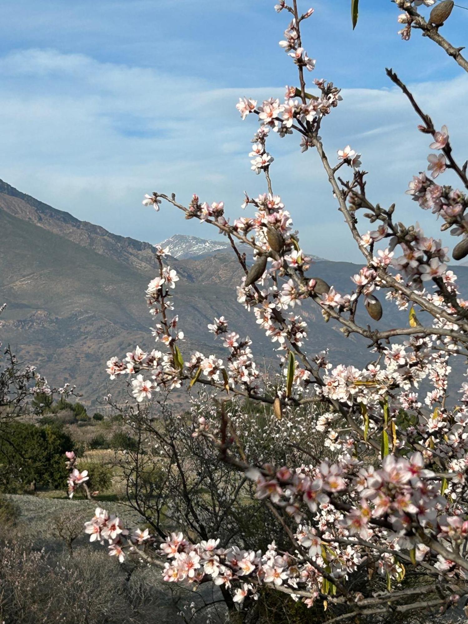 Cortijo Vacas Gordas B&B Castell de Ferro Exteriör bild